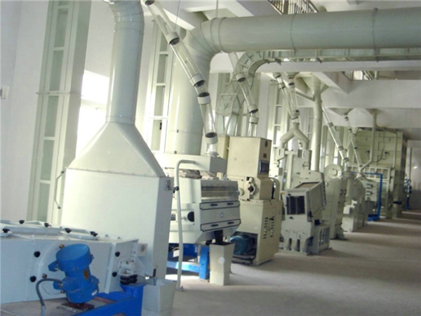 陕西日产50吨草莓视频下载地址成套设备安装调试中(图)