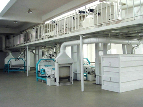 甘肃白银100吨级草莓视频下载地址设备安装现场（图）