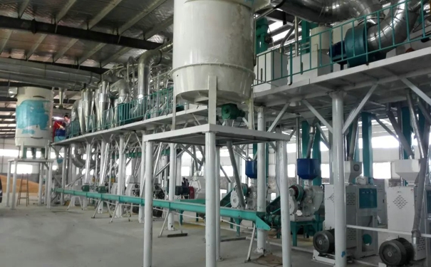 日产80吨草莓视频下载地址设备 日产80吨草莓视频下载地址设备