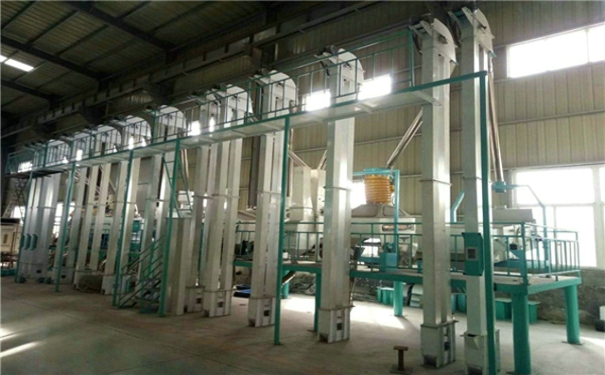 大米成套加工设备 大米成套加工设备