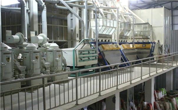 大米成套设备 大米成套设备