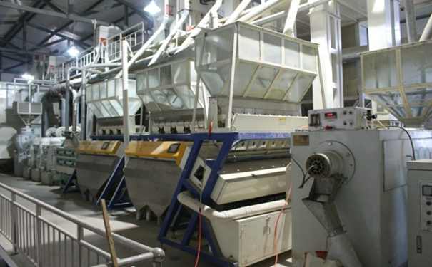 大米成套设备 大米成套设备