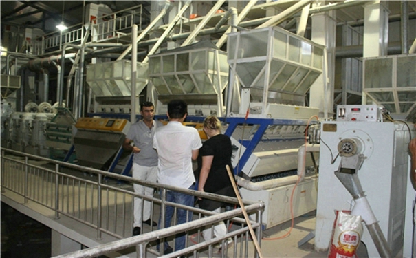 草莓视频下载地址机械 草莓视频下载地址机械