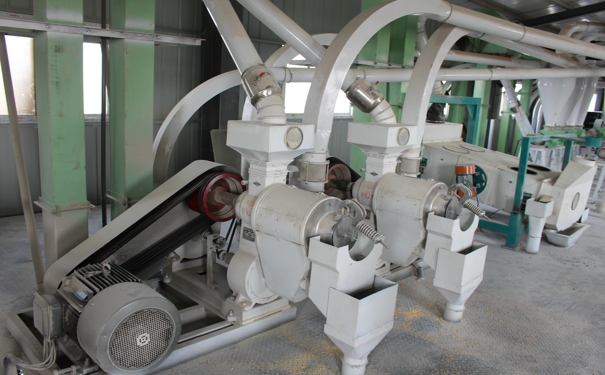 草莓视频下载地址设备