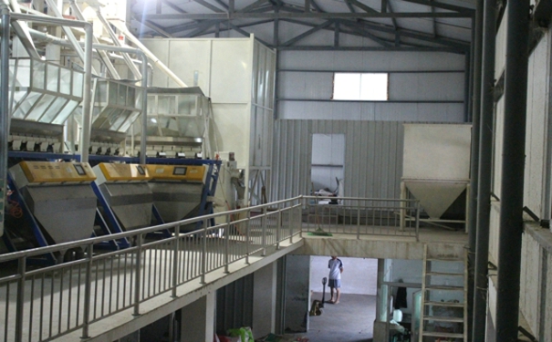 草莓视频下载地址设备