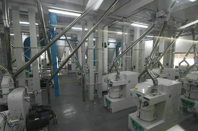 大米生产线 大米生产线