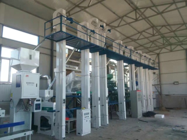 50吨级草莓视频下载地址机械