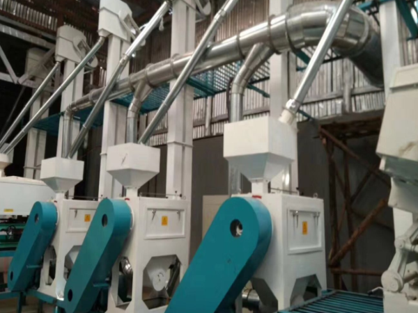 500吨草莓视频下载地址成套设备